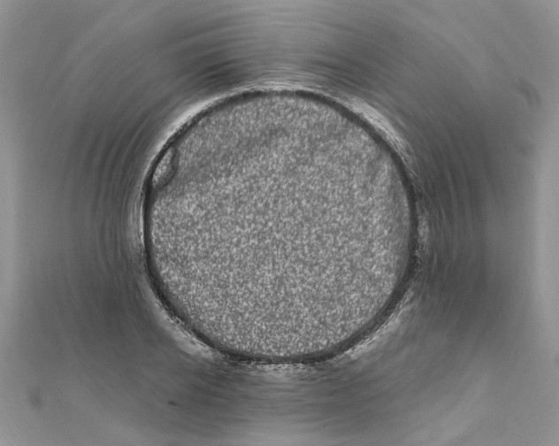 X0000111660934200908141310