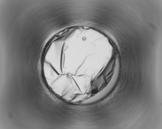 X0000111660936200908141310