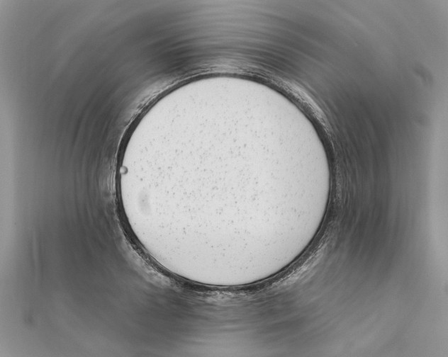 X0000111660938200908141310