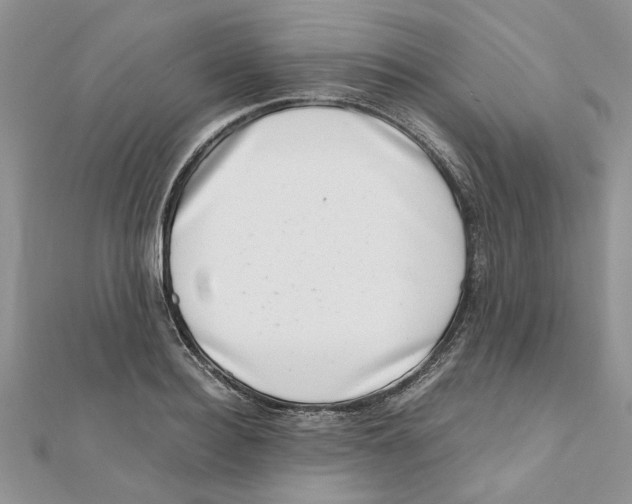 X0000111660940200908141310