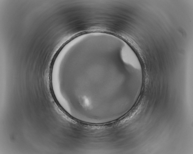 X0000111660941200908141310