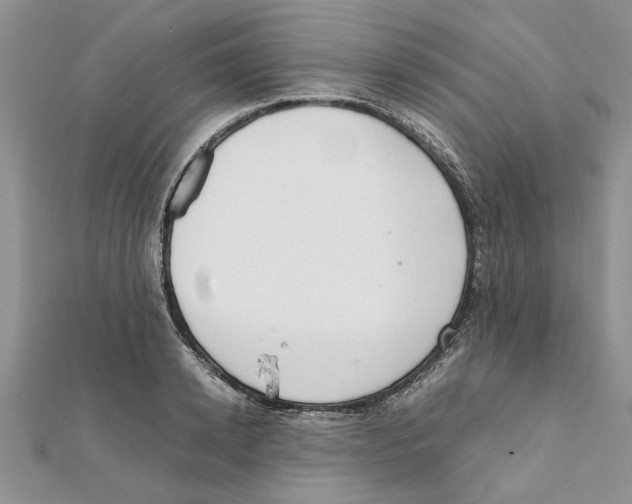 X0000111660942200908141310