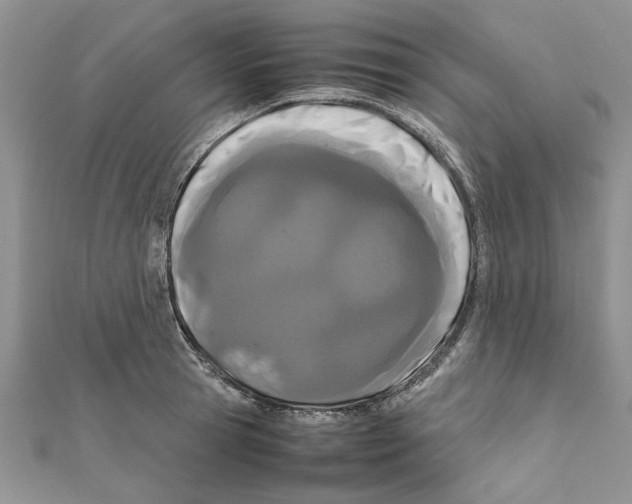 X0000111660945200908141310