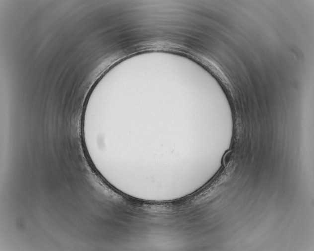 X0000111660946200908141310