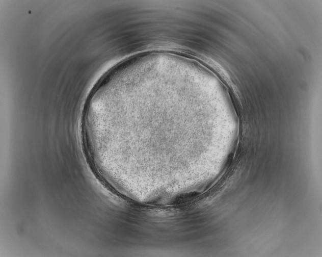 X0000111660947200908141310