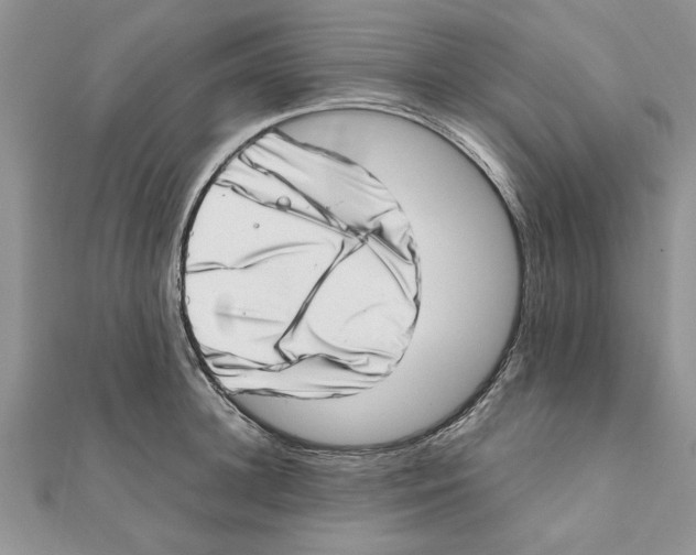 X0000111660948200908141310