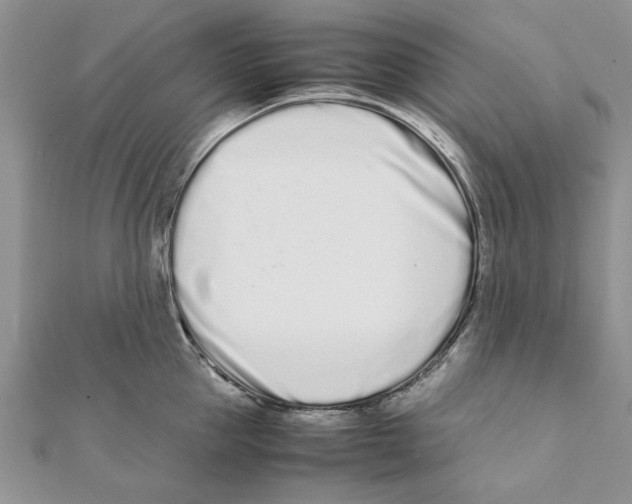 X0000111660953200908141310