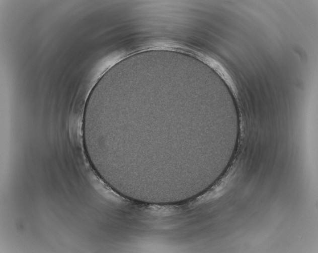 X0000111660954200908141310