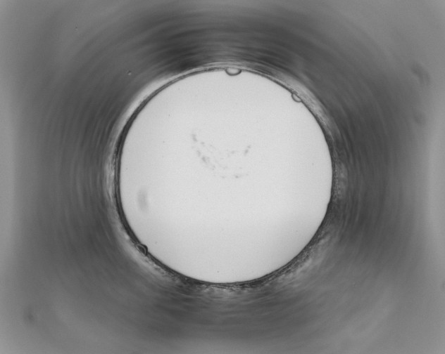 X0000111660955200908141310