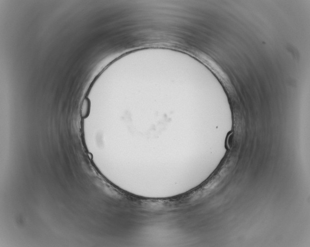 X0000111660956200908141310