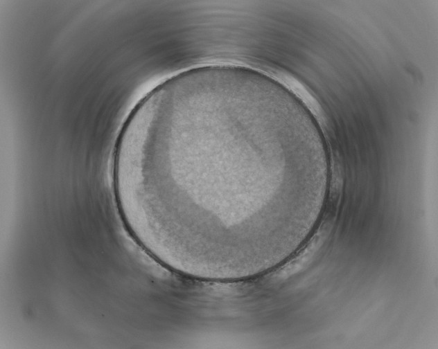 X0000111660958200908141310