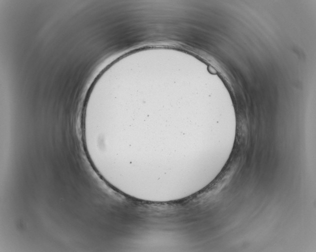 X0000111660959200908141310