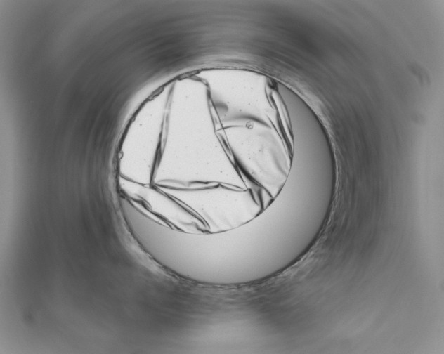 X0000111660960200908141311