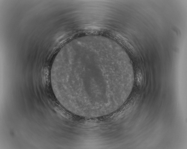 X0000111660964200908141310