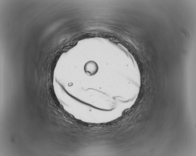 X0000111660965200908141310