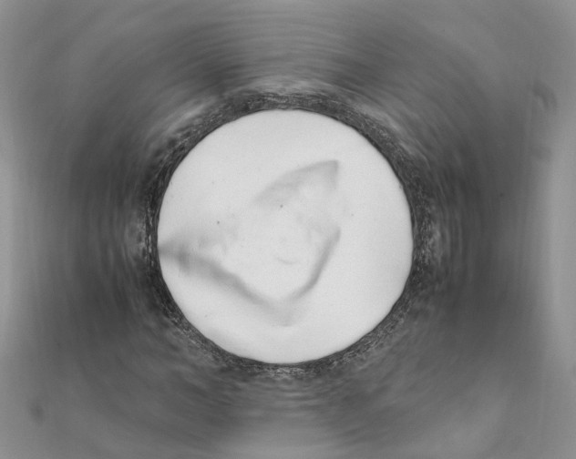 X0000111660966200908141310