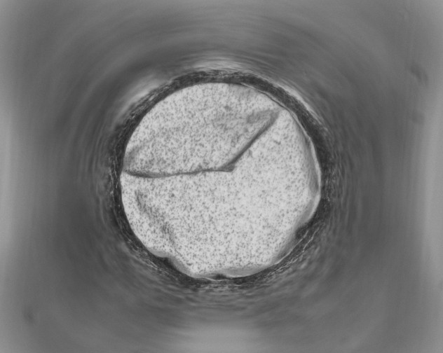 X0000111660967200908141310