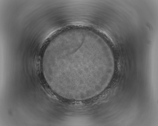 X0000111660968200908141310