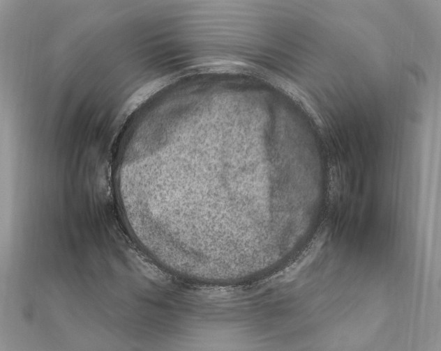 X0000111660970200908141310