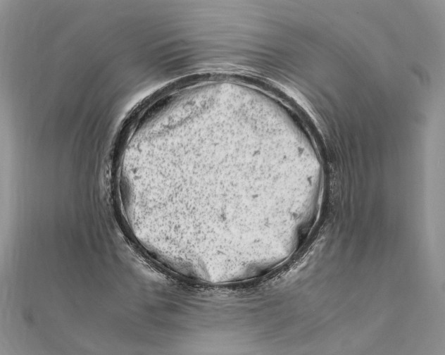 X0000111660971200908141310