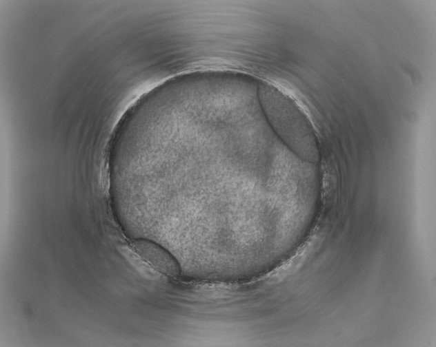 X0000111660973200908141310