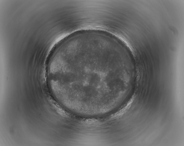 X0000111660974200908141310