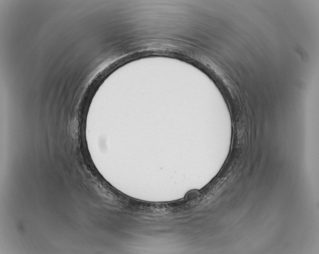 X0000111660975200908141310