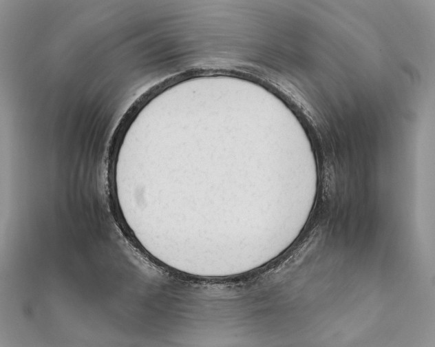 X0000111660976200908141310