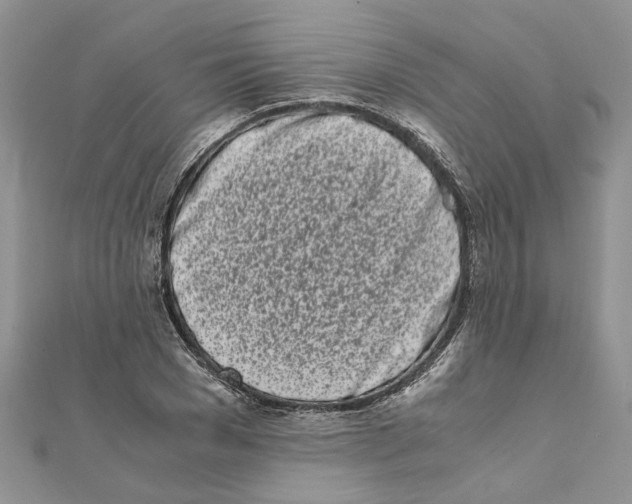 X0000111660977200908141310