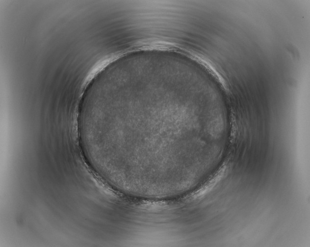 X0000111660978200908141310