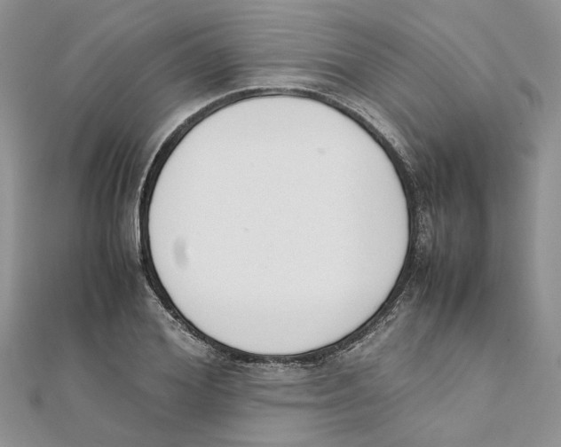 X0000111660980200908141310