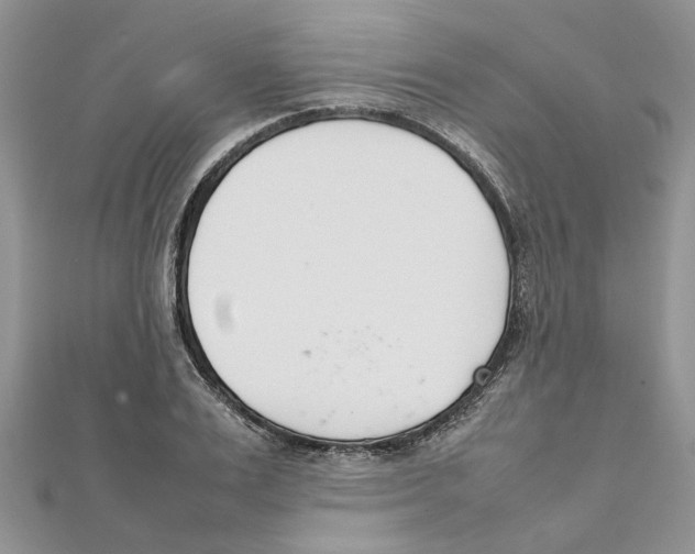 X0000111660983200908141310