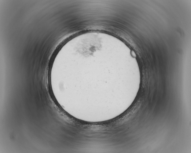 X0000111660984200908141310