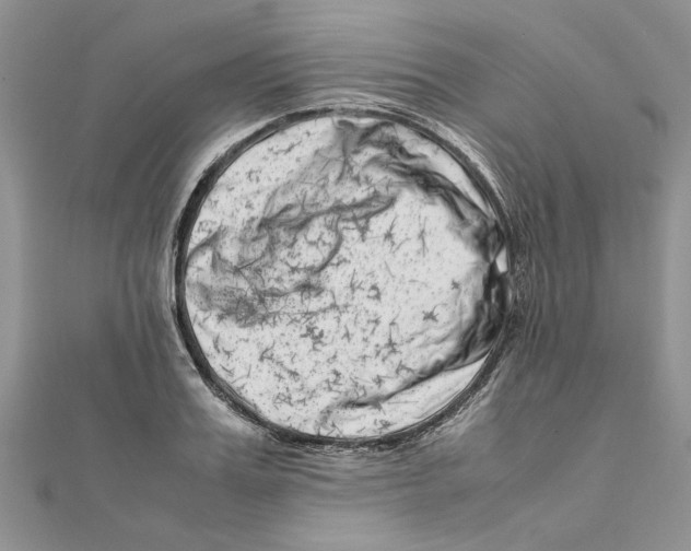 X0000111660987200908141310