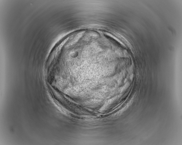 X0000111660989200908141310