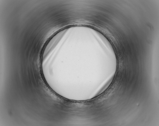 X0000111660990200908141310