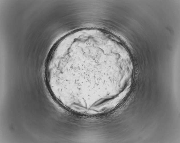 X0000111660991200908141310