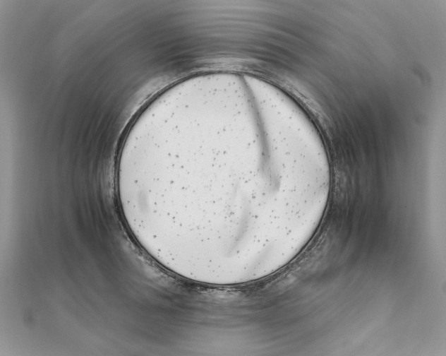 X0000111660994200908141309