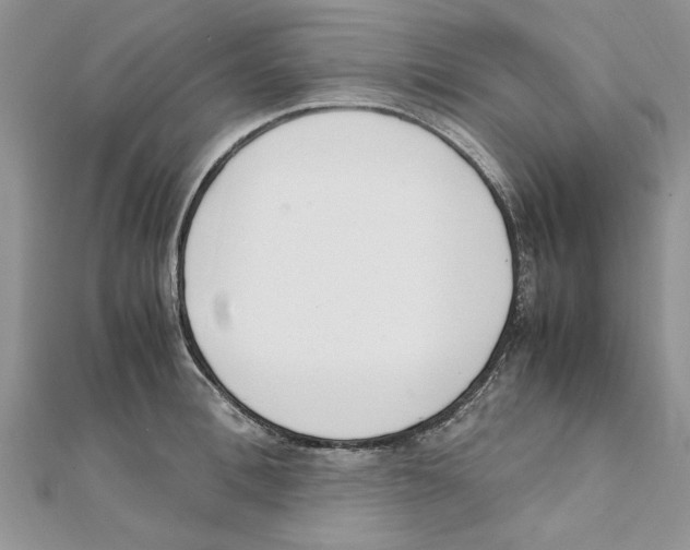 X0000111660996200908141309