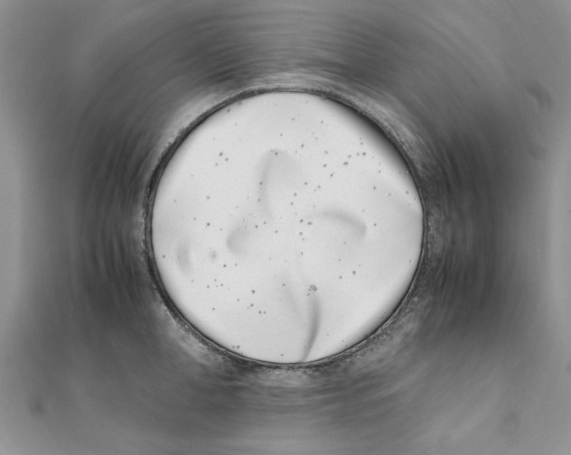 X0000111660998200908141309