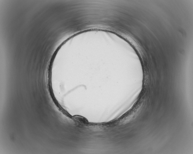 X0000111660999200908141309