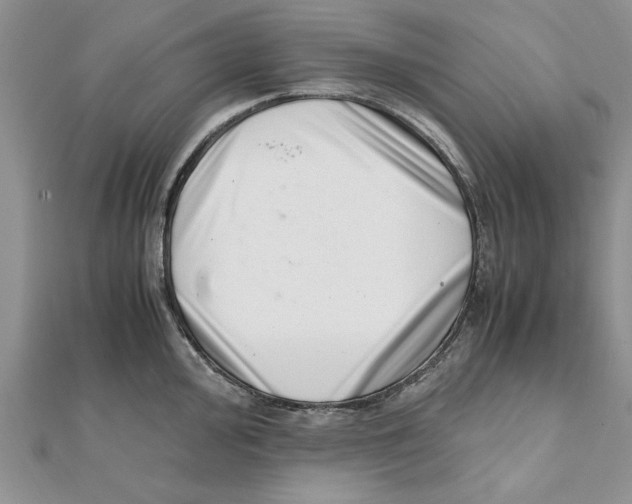 X0000111661000200908141309