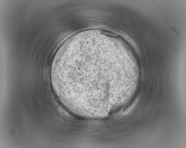 X0000111661001200908141309