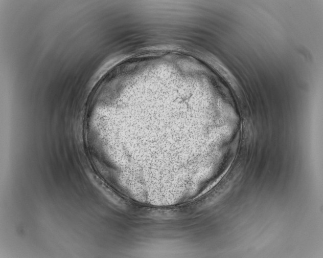 X0000111661002200908141309