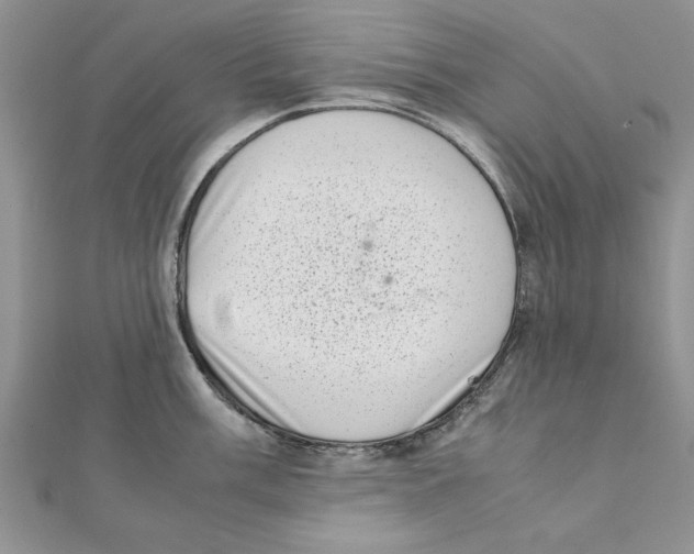 X0000111661003200908141309