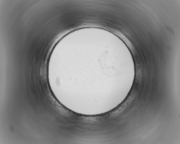 X0000111661004200908141309