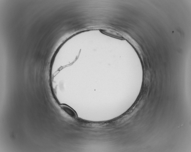 X0000111661005200908141309