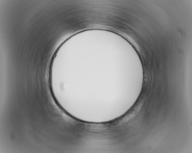 X0000111661007200908141309