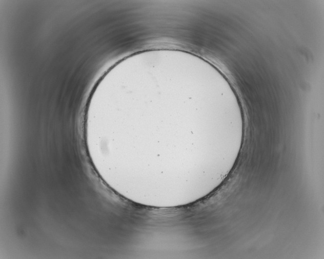 X0000111661008200908141309