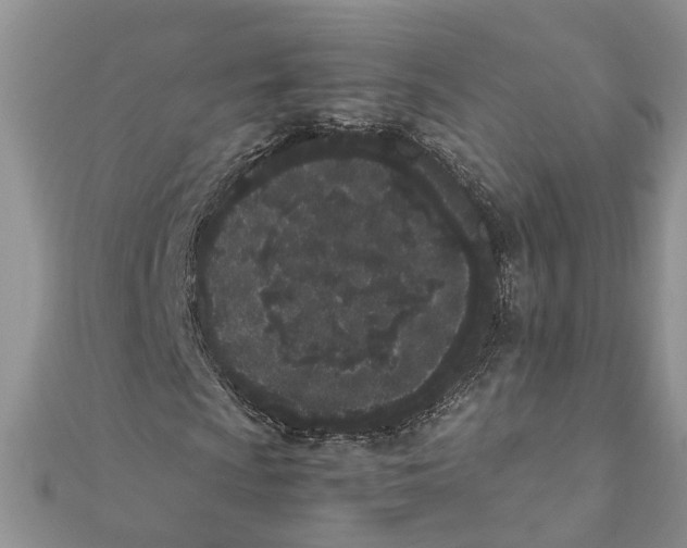 X0000111661009200908141309